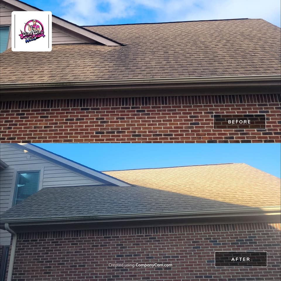 roof cleaning Bloomfield Hills